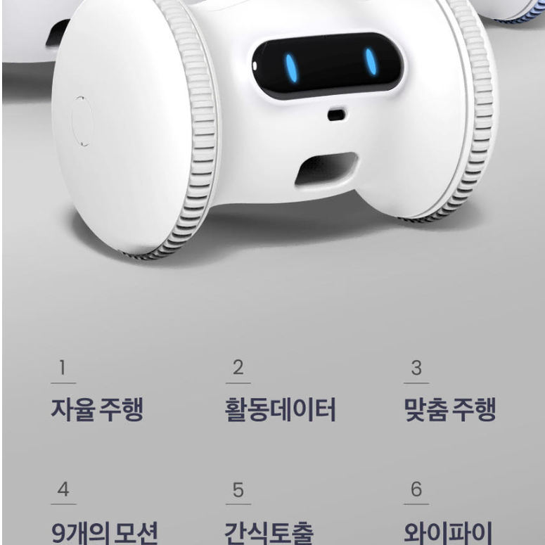 바램펫 바램 펫 피트니스 프로 PRO 1+1