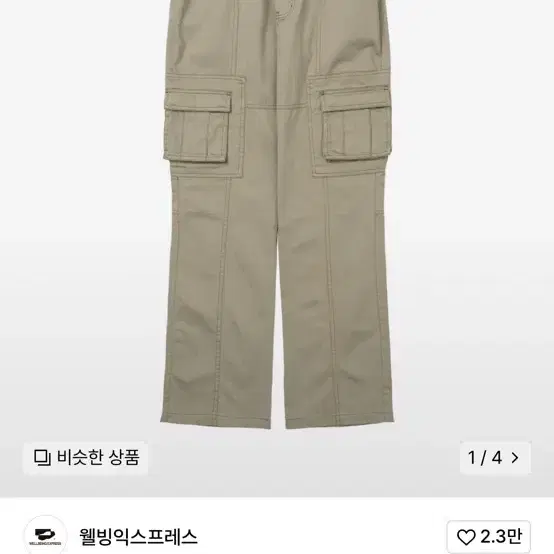 wellbeing express cargo pants 웰빙익스프레스 카고