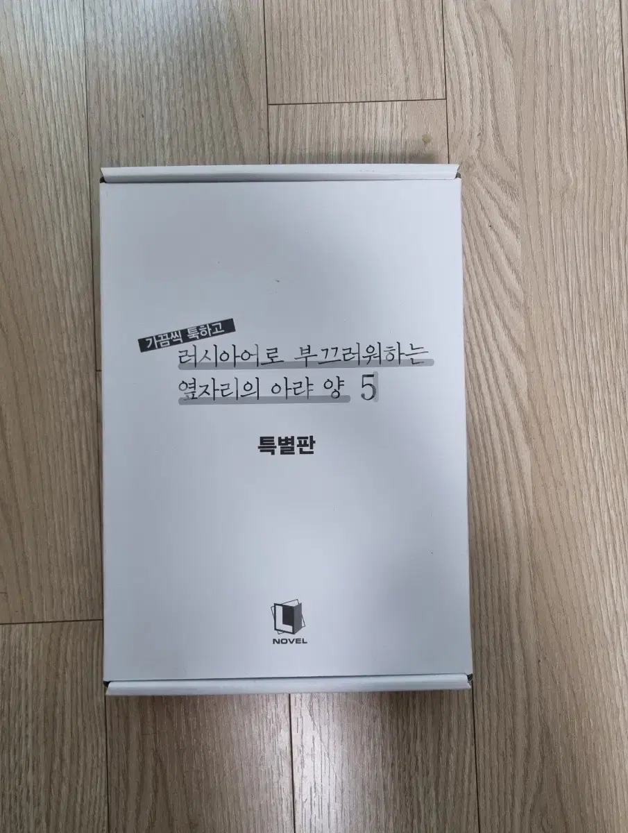 가끔씩 툭하고 러시아어로 부끄러워하는 옆자리의 아랴양 5권 특별판