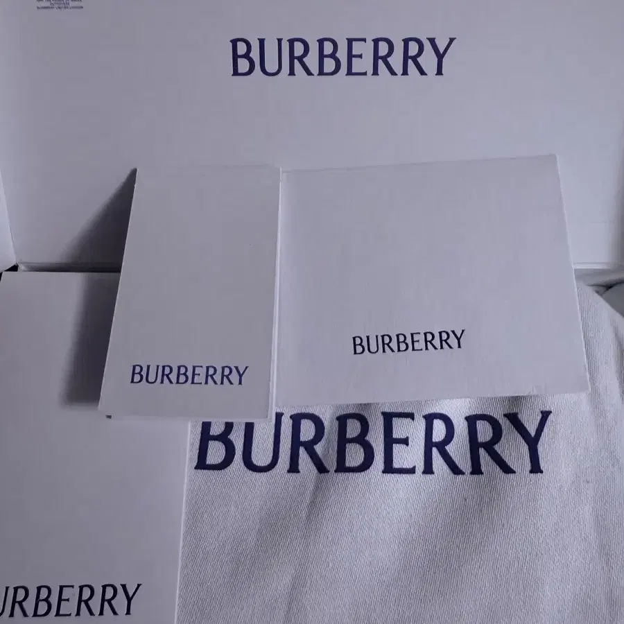 BURBERRY Ls 지갑 온 체인 Bin