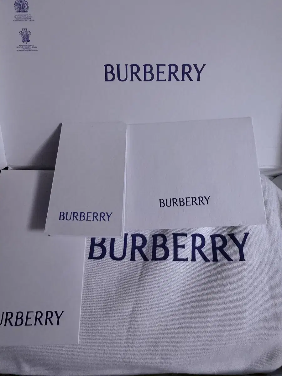 BURBERRY Ls 지갑 온 체인 Bin