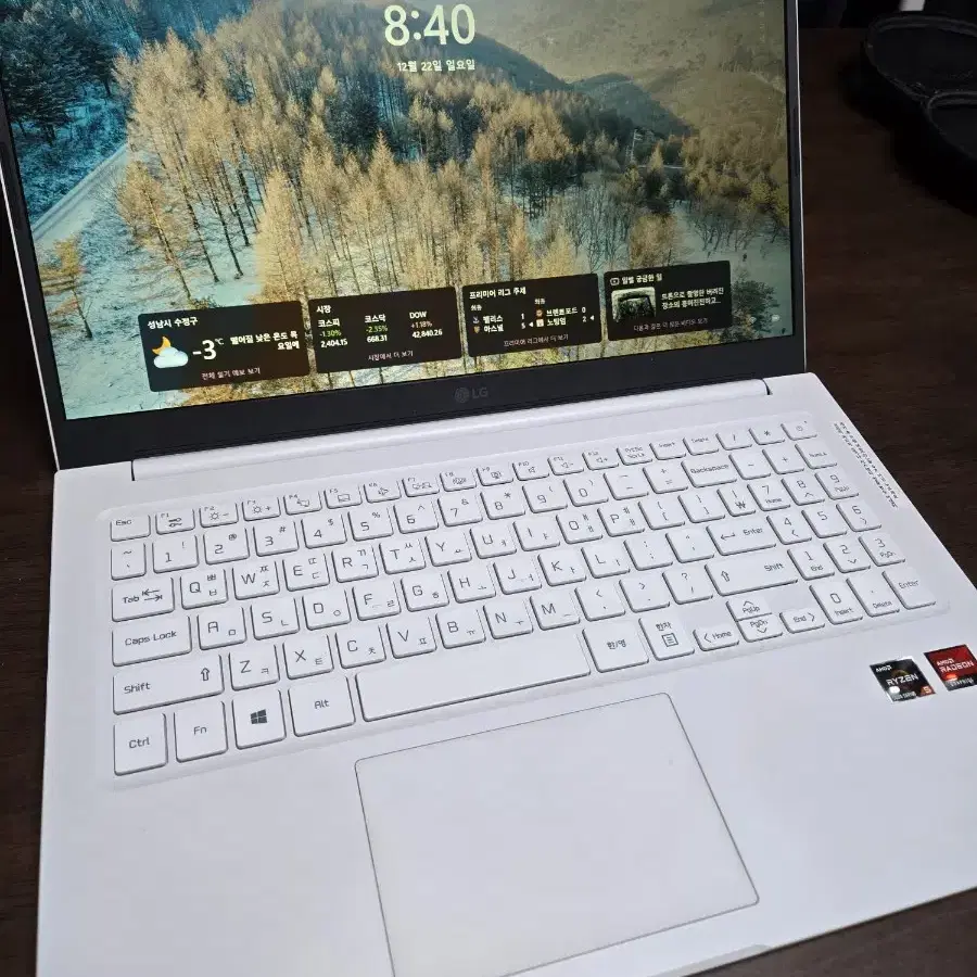 LG 2022울트라PC 15U40Q-GR5SK (노트북)