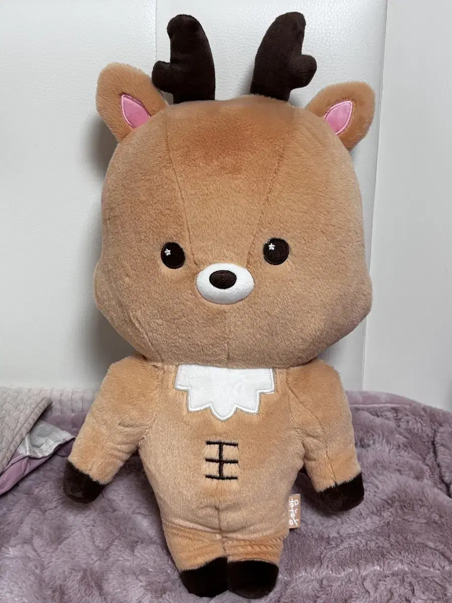 40cm 라이즈 성찬 우락밤 인형