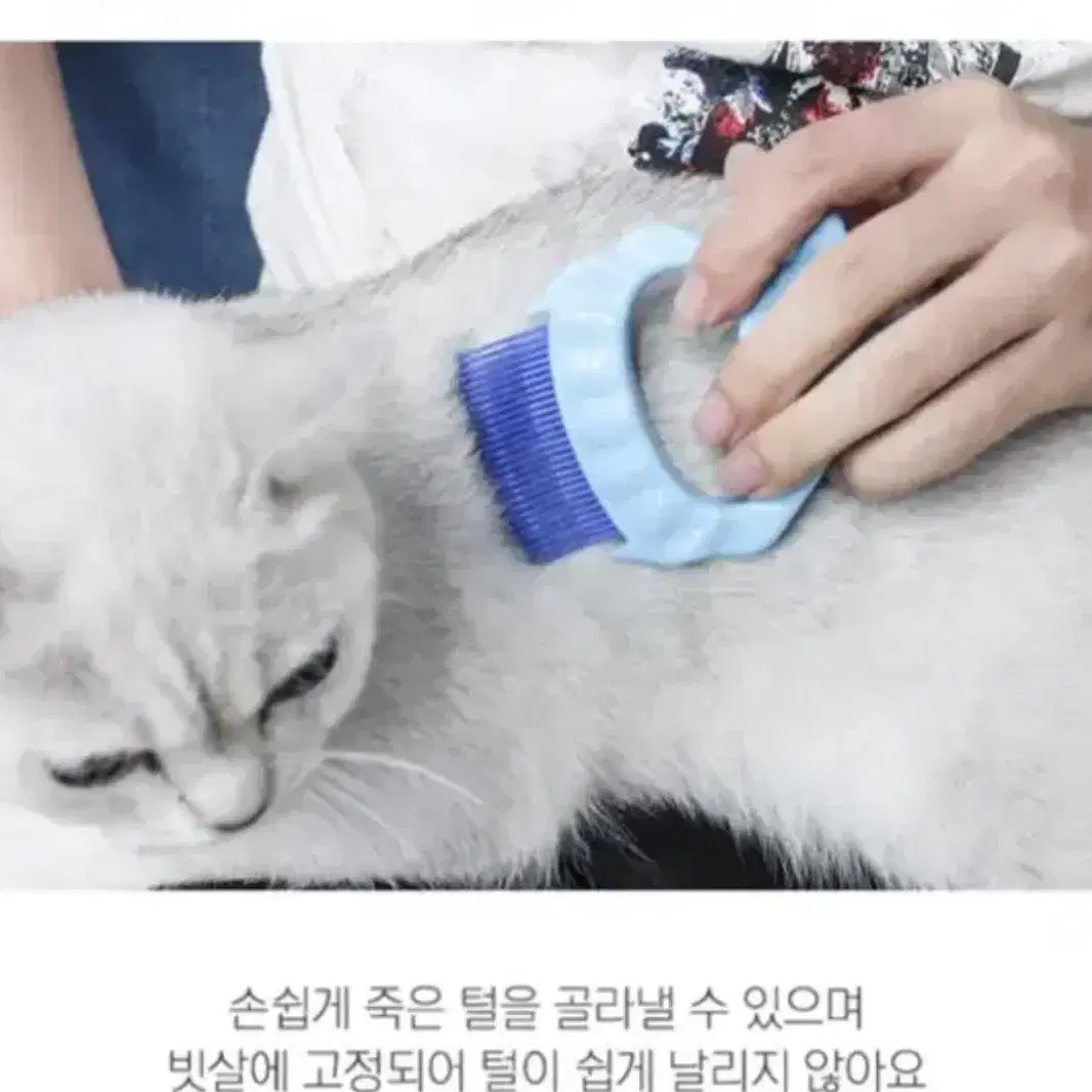 조개빗 애견빗 강아지 고양이 털 브러쉬