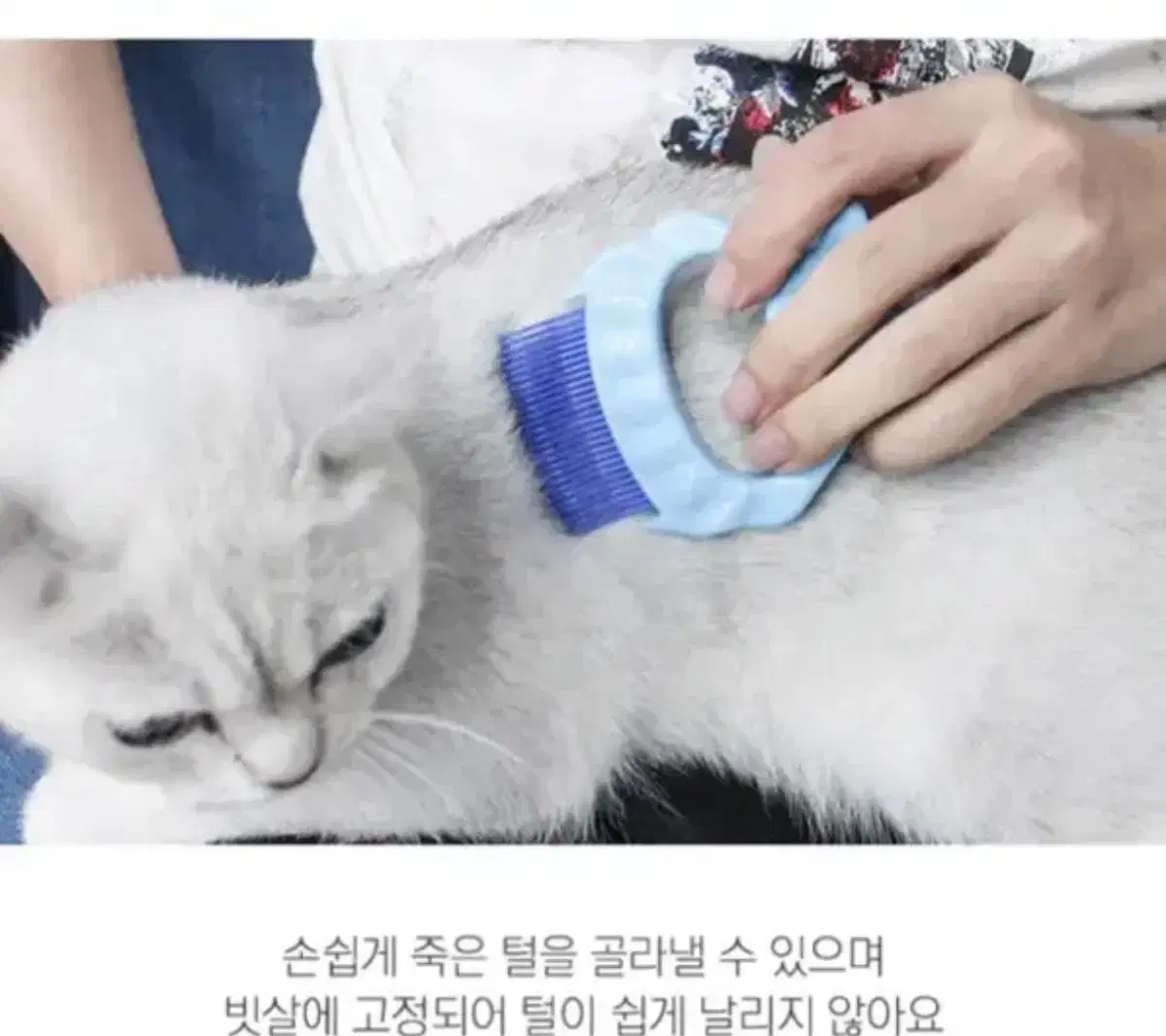 조개빗 애견빗 강아지 고양이 털 브러쉬