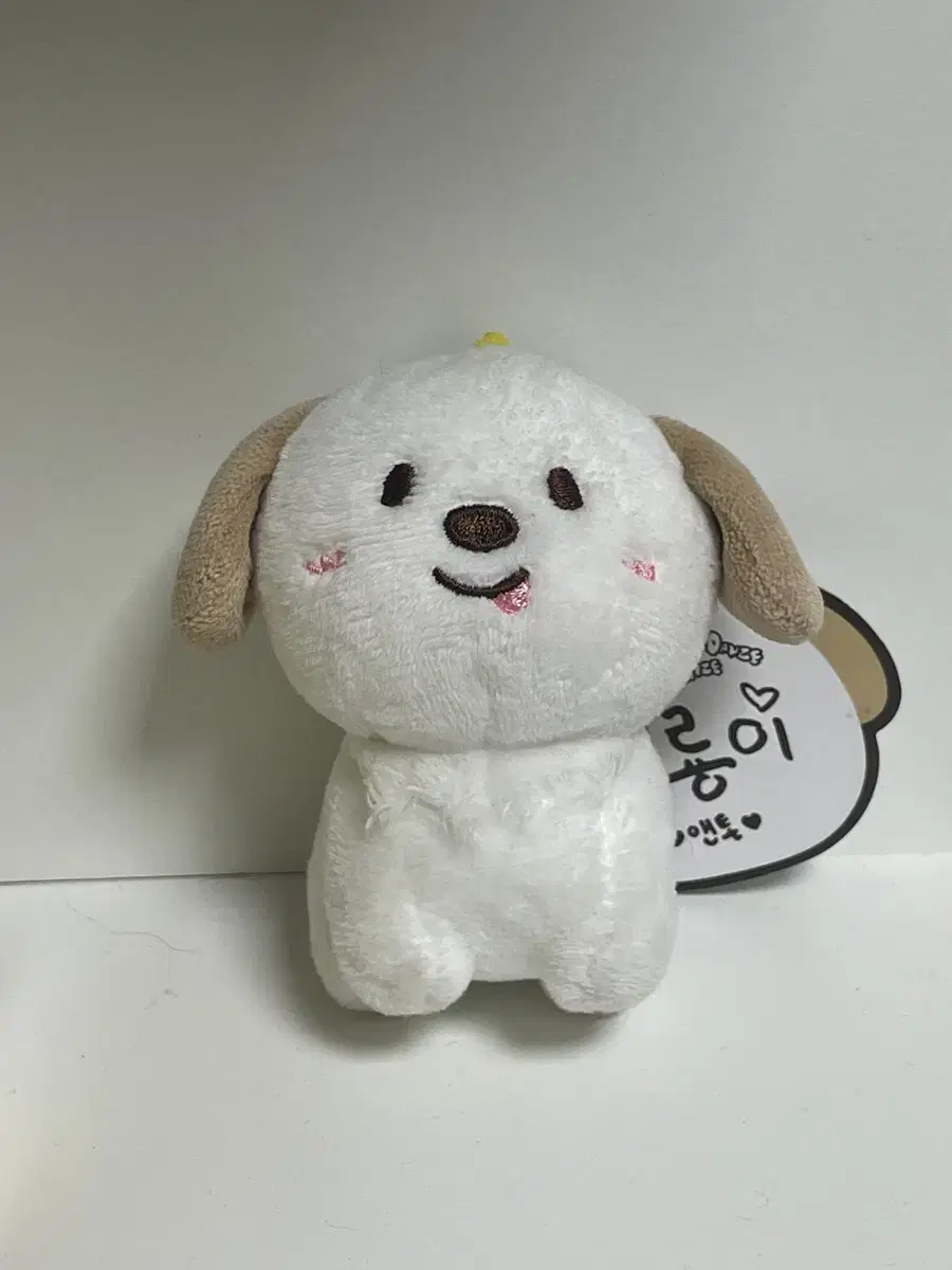 라이즈 앤톤 멍룡이 10cm 인형 양도