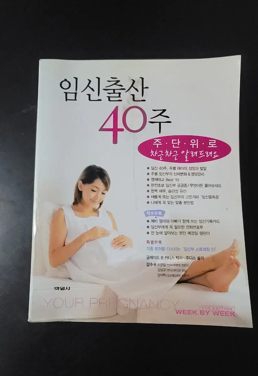 임신출산 40주