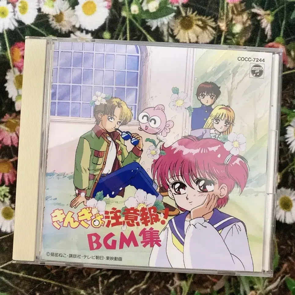 금붕어주의보 금붕어 고전 고전완구 고전문구 CD bgm