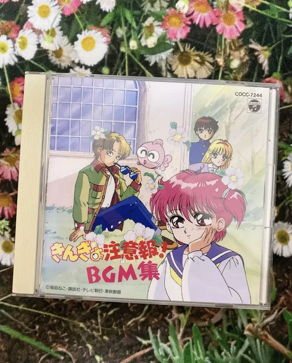 금붕어주의보 금붕어 고전 고전완구 고전문구 CD bgm