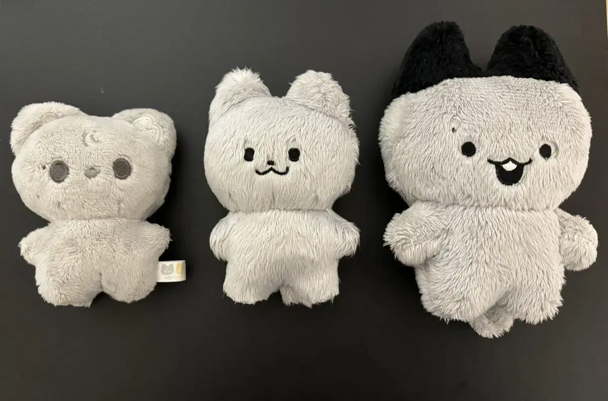 더보이즈 juyeon doll 쥬냥이 쭈먕이 쭈톨이 양도합니다!