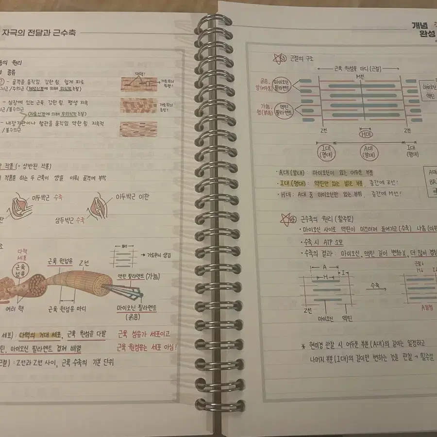 [새책] 생명1 교재, 화학1 수특