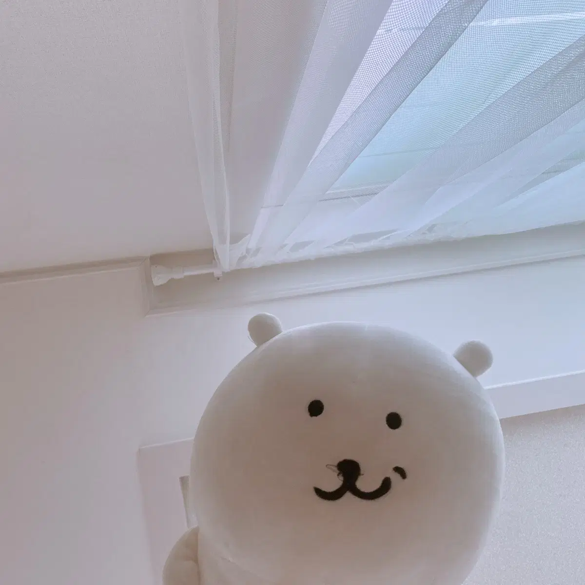 비플랏 농담곰 오리튜브