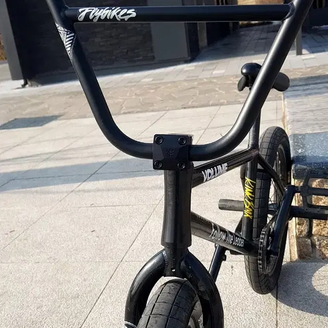 볼륨 빌리페리 시그니처 프레임 기반 커스텀BMX(대차,판매봅니다.)