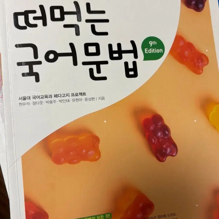 떠먹는 국어문법 문법 개념서