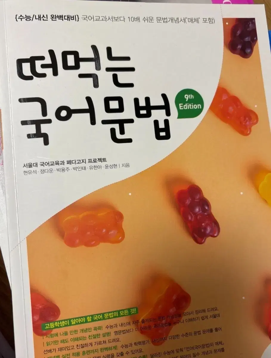 떠먹는 국어문법 문법 개념서