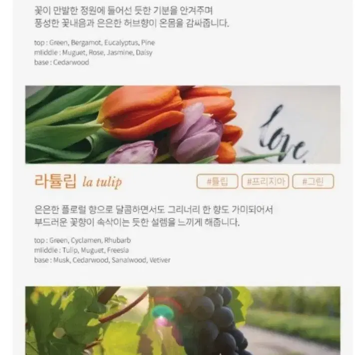 다퓨쳐 방향제 새제품 팝니다 .가정용 사무실용 캠핑용