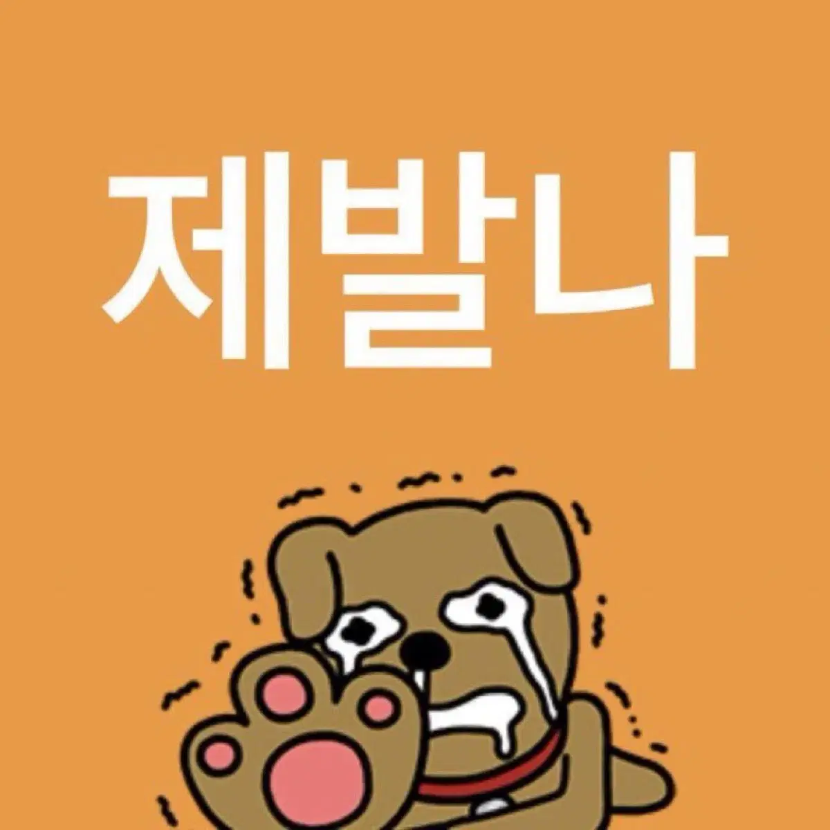 리오르 복슬복슬 인형 구합니다!