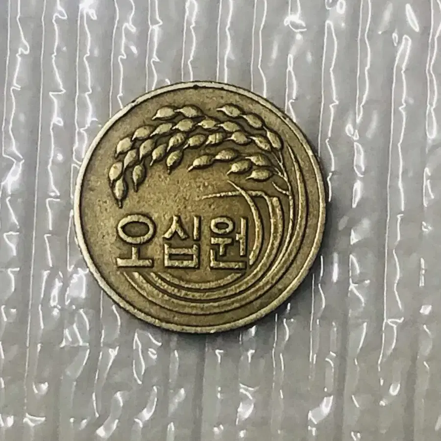 1981년 50원 희귀동전