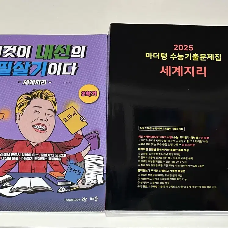 개별 O / 2025 마더텅 세계지리, 이기상 필살기