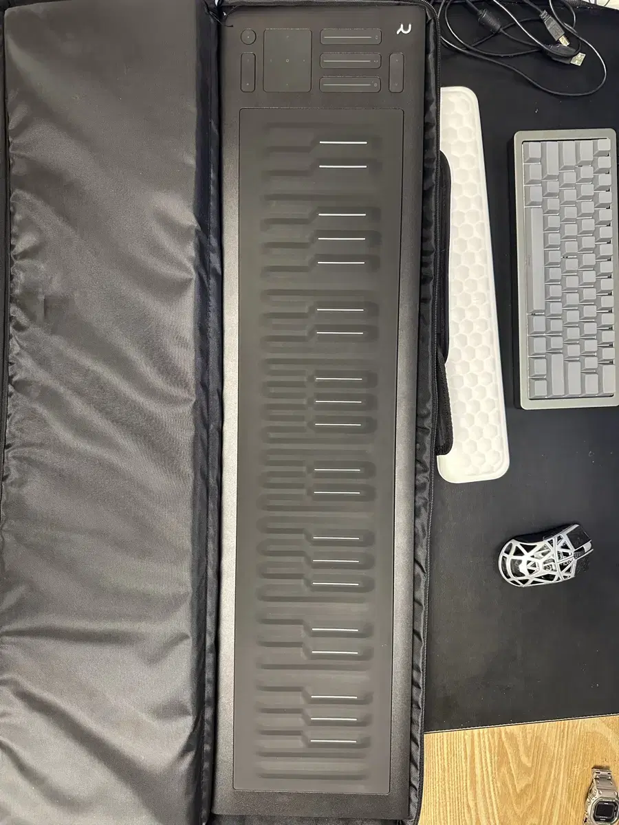 ROLI Seaboard rise 49 판매