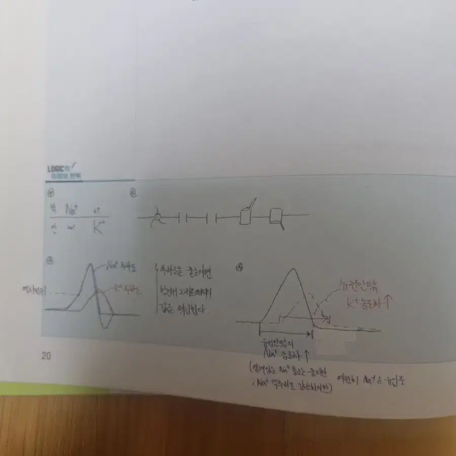 22 생명과학1 한종철 로직n제