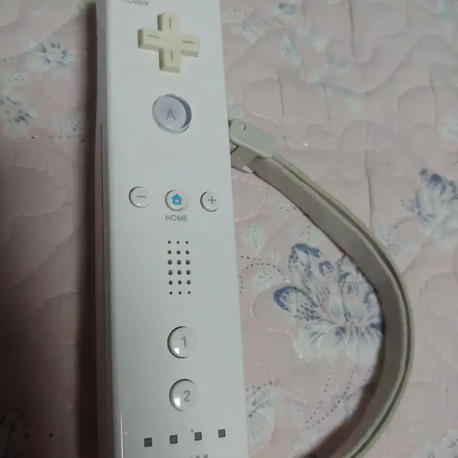 Wii 리모컨