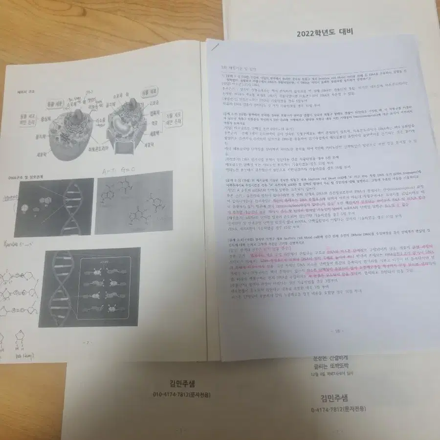 시대인재 김민주t 생명논술 아주대 의학과 파이널