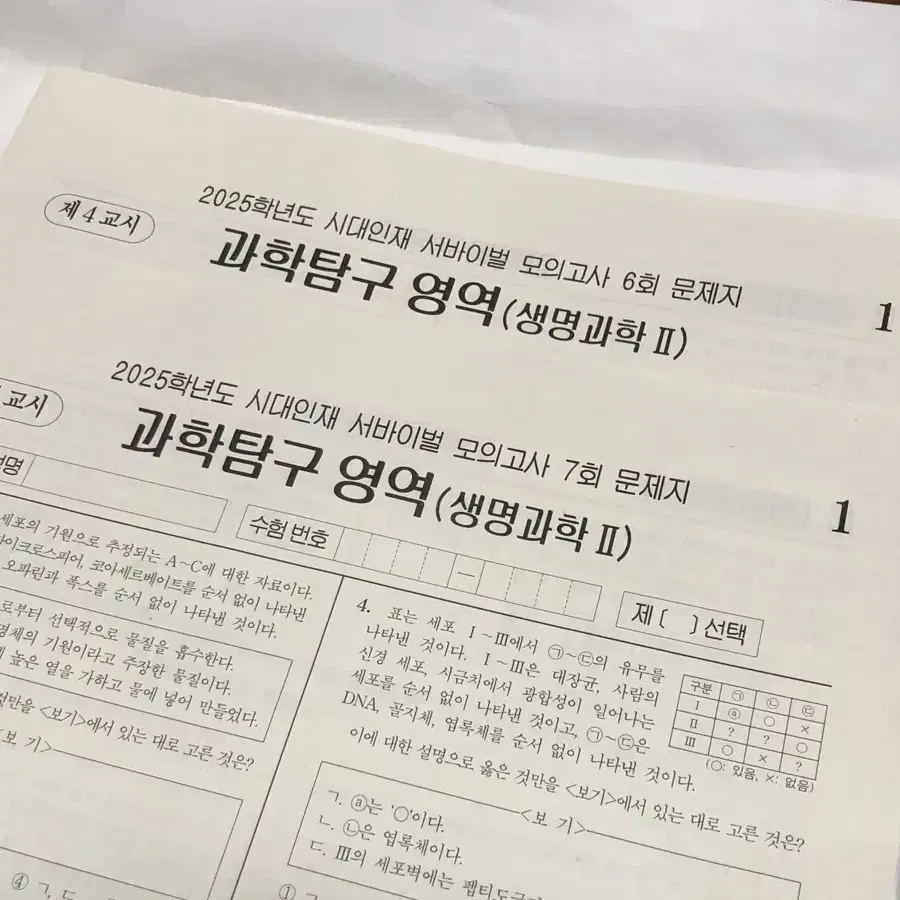 고3 생2 2025 서바이벌