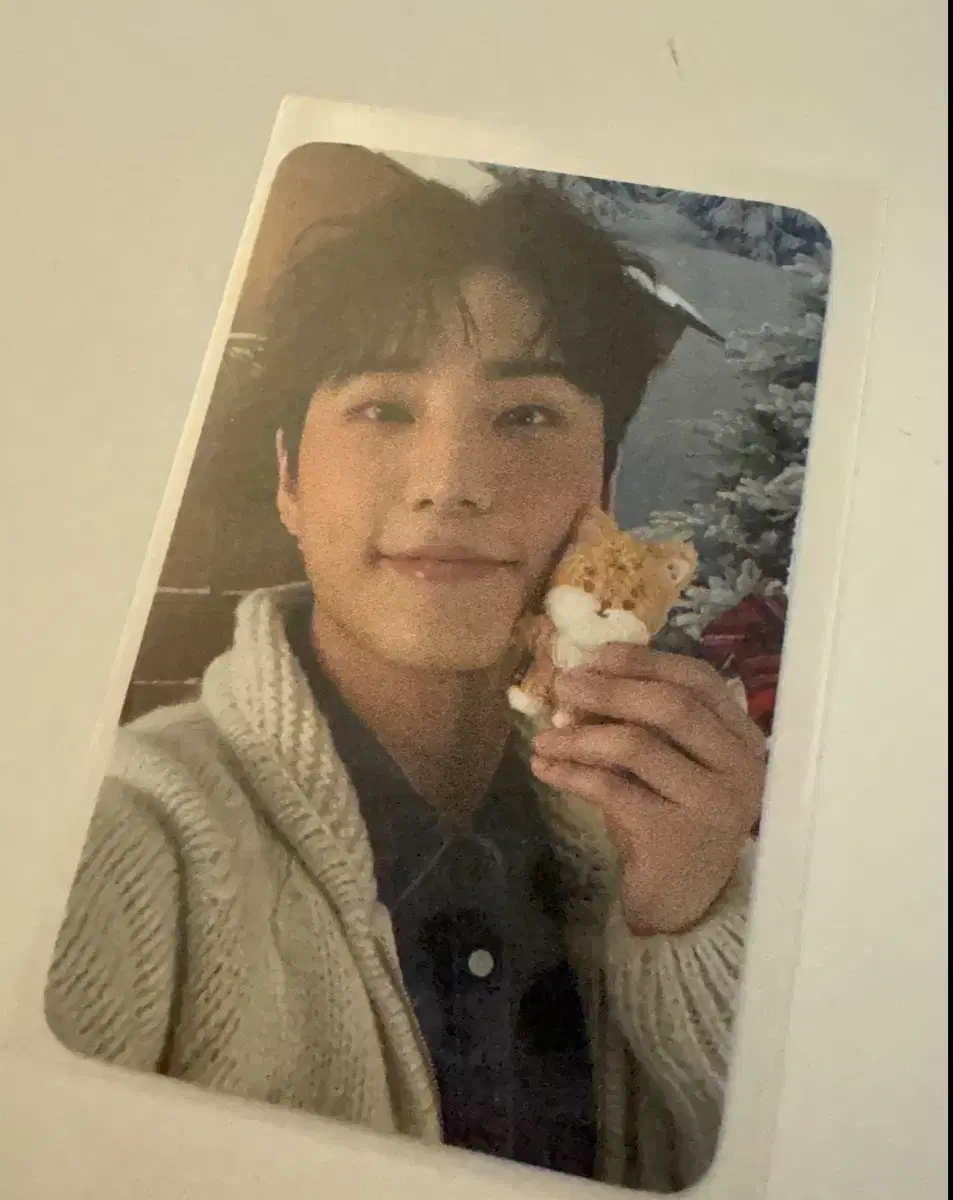 Day 6 2024 Klon Offline MD photocard Youngkay Younghyun sell Denimalske