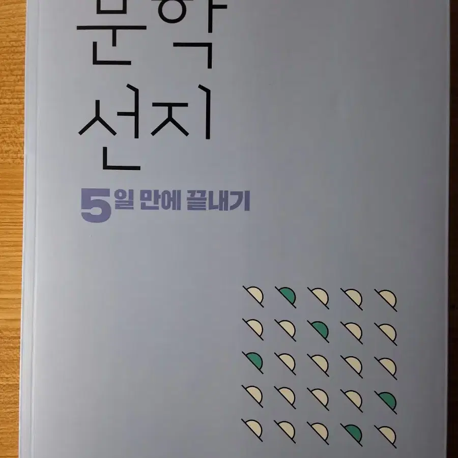 대성마이맥 국어 김젬마: 2025 FINAL 5일 완성 문학/독서