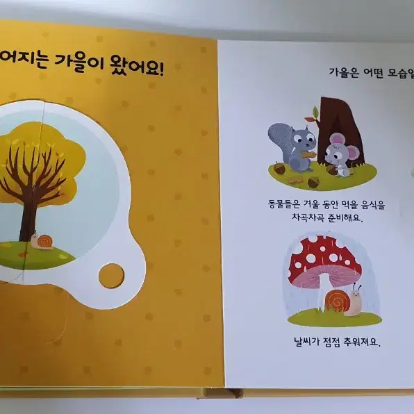 교원 빙글빙글 호기심 바퀴 전집 책