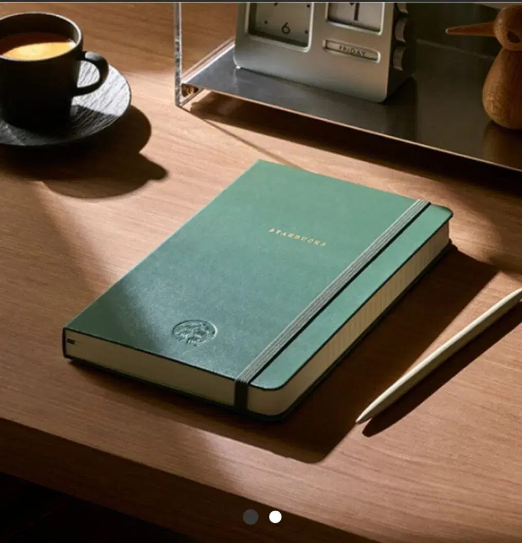 Starbucks Diary 2025 Green