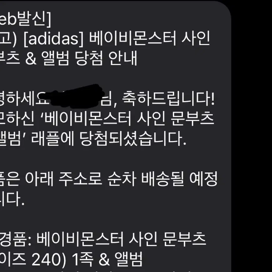 베이비몬스터 아디다스