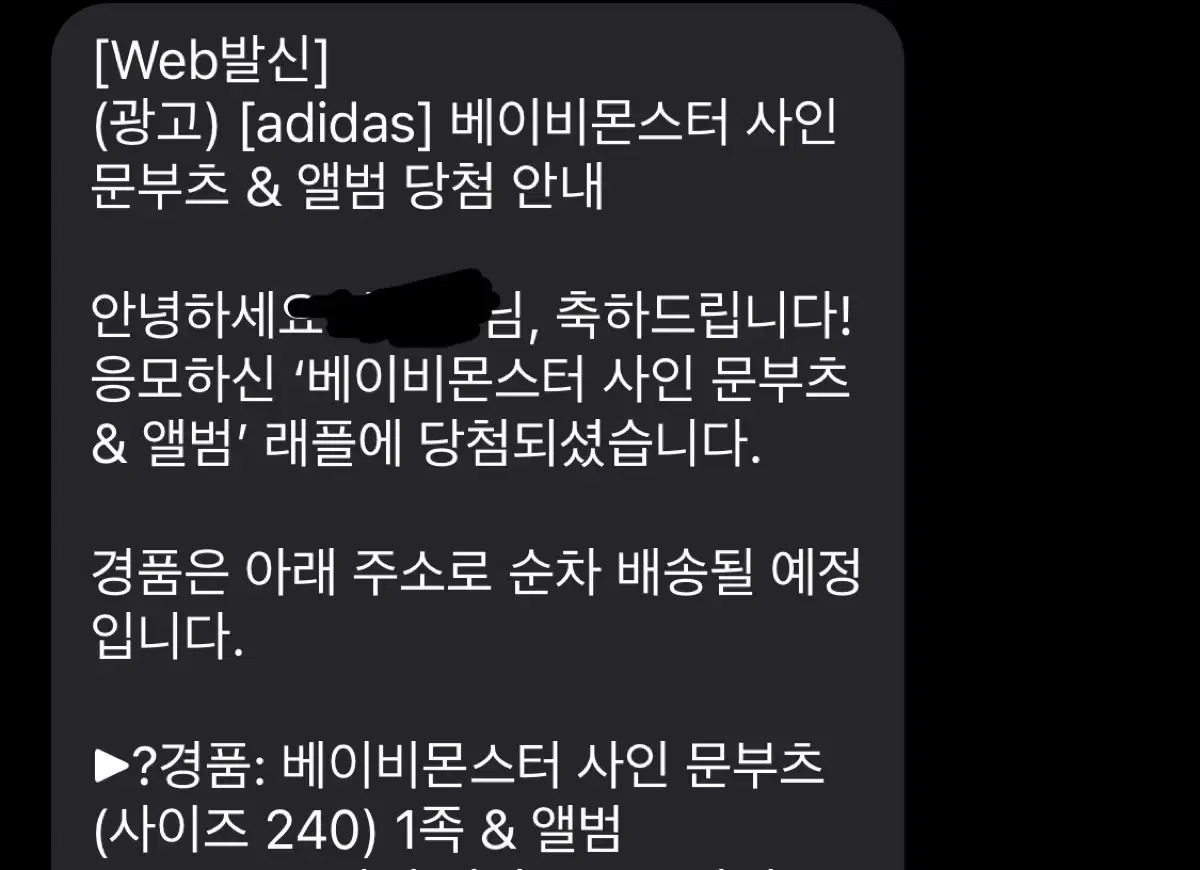 베이비몬스터 아디다스