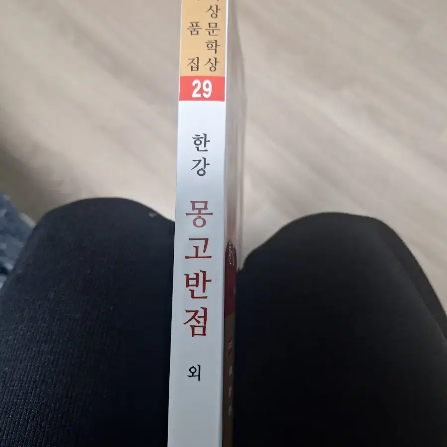 한강 대상수상작 몽고반점