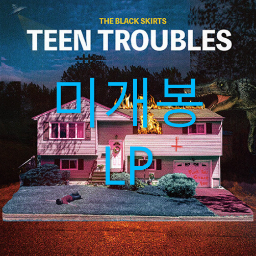 [미개봉] 검정치마 - Teen Troubles (에메랄드그린 LP)