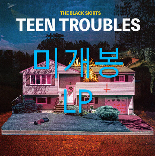 [미개봉] 검정치마 - Teen Troubles (에메랄드그린 LP)