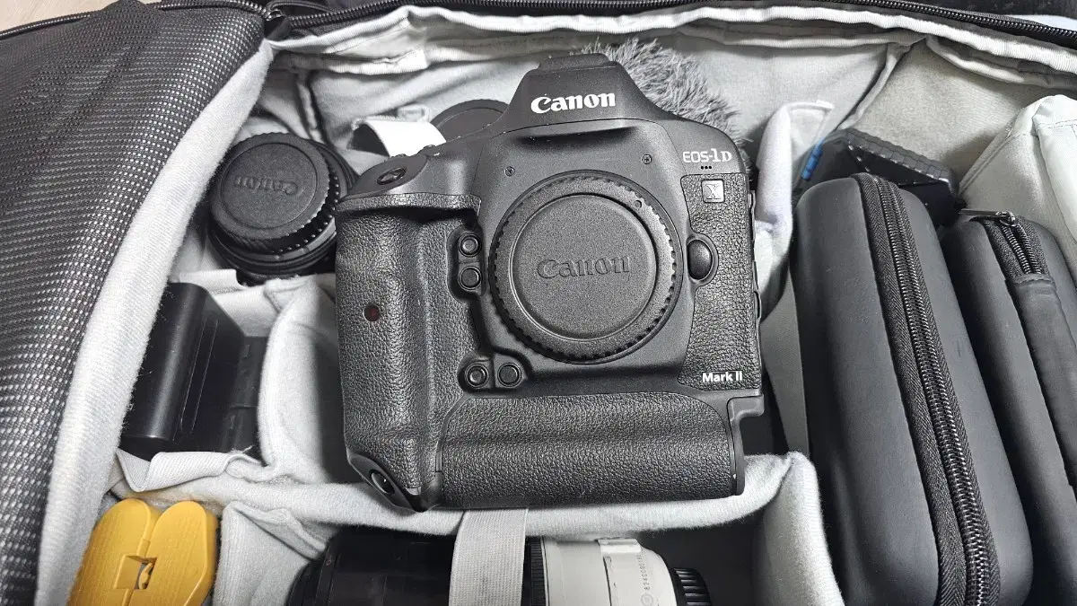 Canon 1D mark2