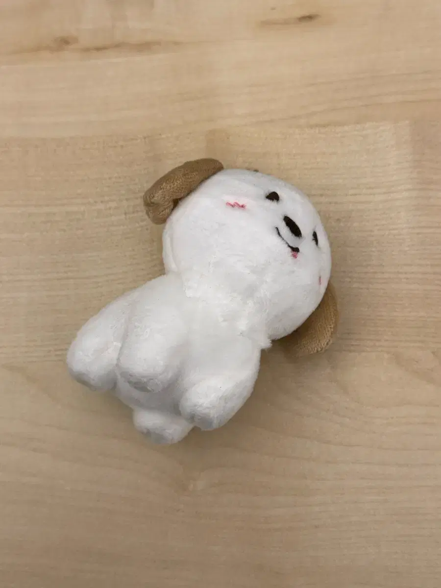 라이즈 인형 멍룡이 10cm 판매합니다.