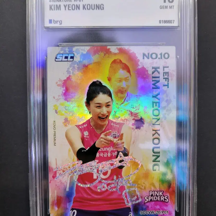 배구 김연경