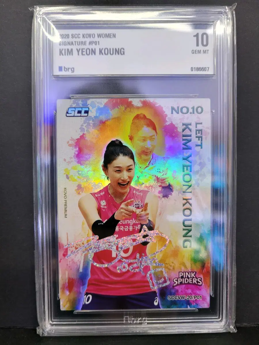 배구 김연경