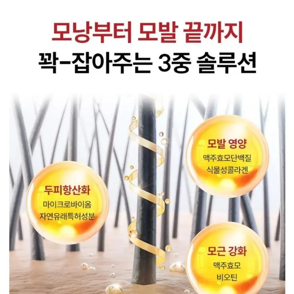 새상품) 이고세 그로우 모모 안티로스 독일 맥주 효모 탈모 샴푸, 1L