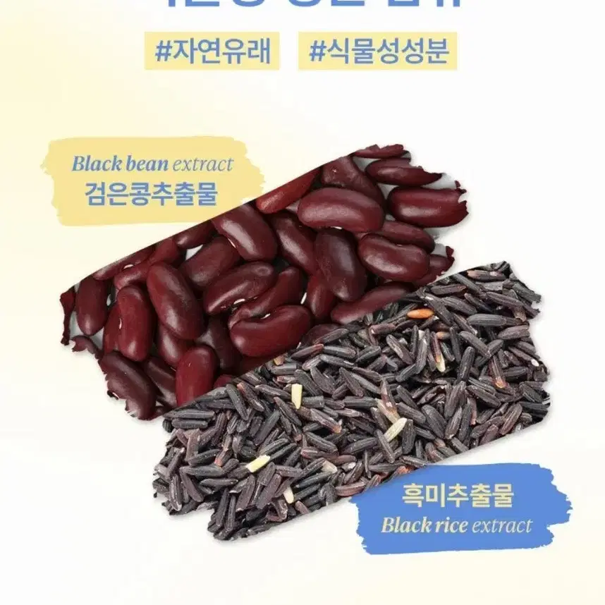 새)오디드 아티스트 헤어 컨실러 팔레트 12.9g 기획 +브러쉬, 헤어핀