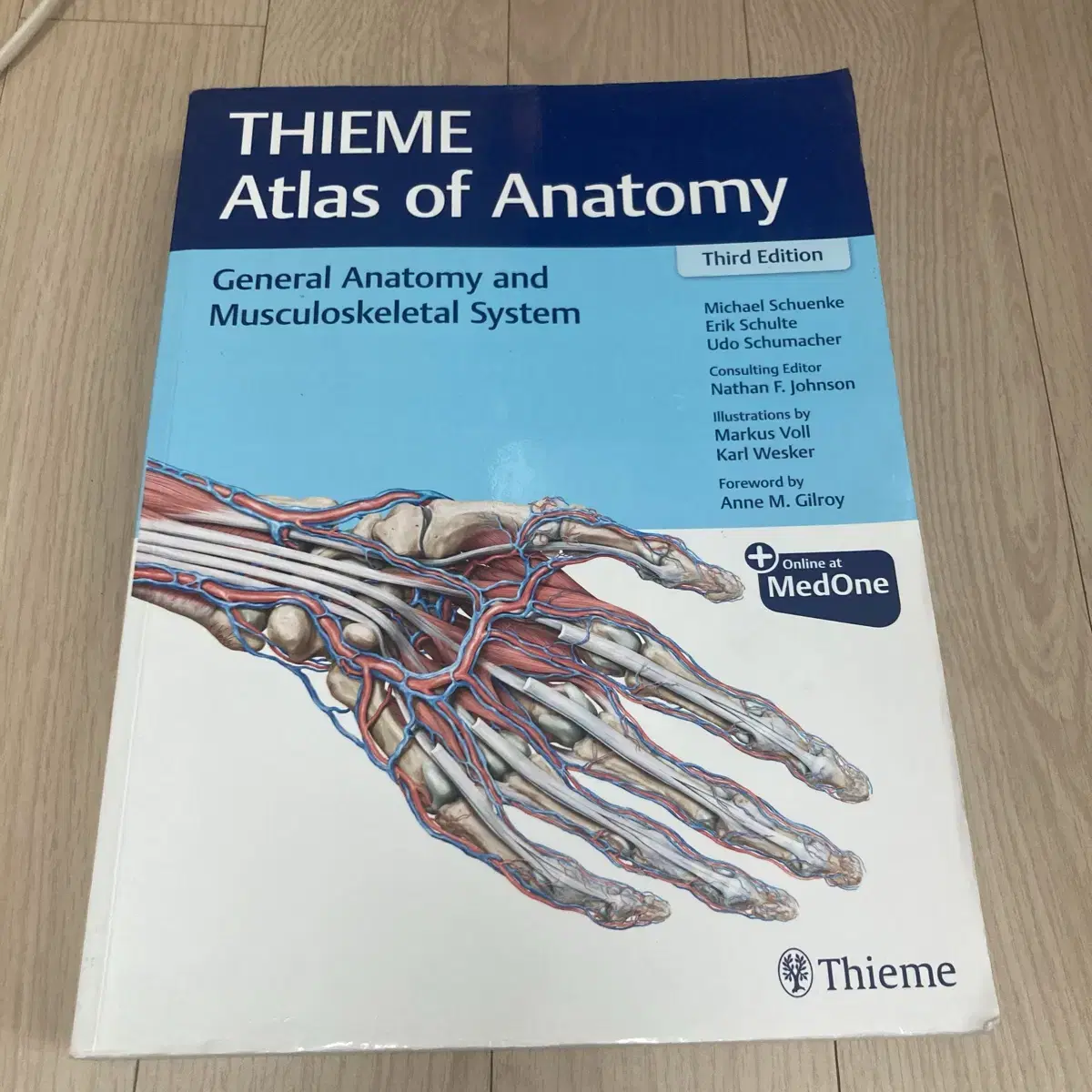 THIEME Atlas of Anatomy 물리치료학과 전공책