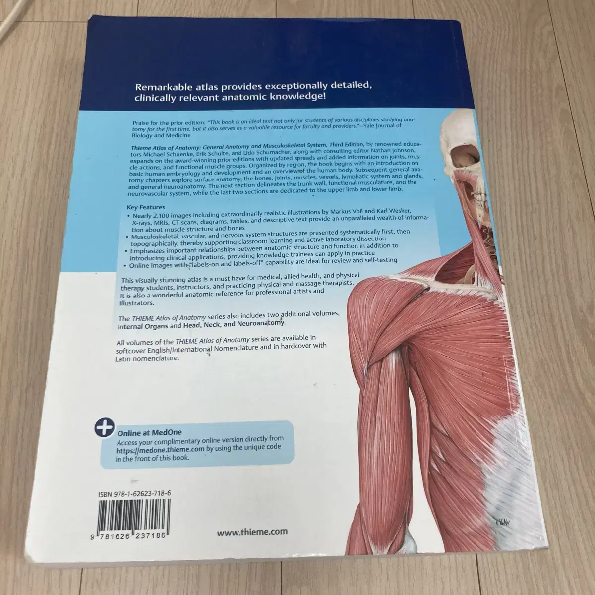 THIEME Atlas of Anatomy 물리치료학과 전공책