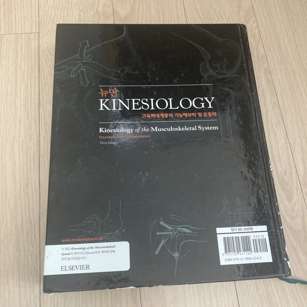 뉴만 키네시올로지 kinesiology 물리치료학과 전공책