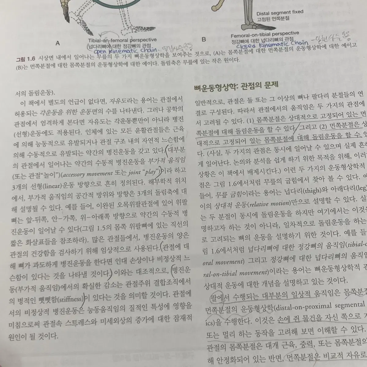 뉴만 키네시올로지 kinesiology 물리치료학과 전공책