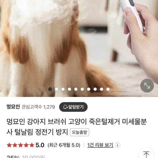 멍묘인 강아지 브러쉬 강아지고양이빗