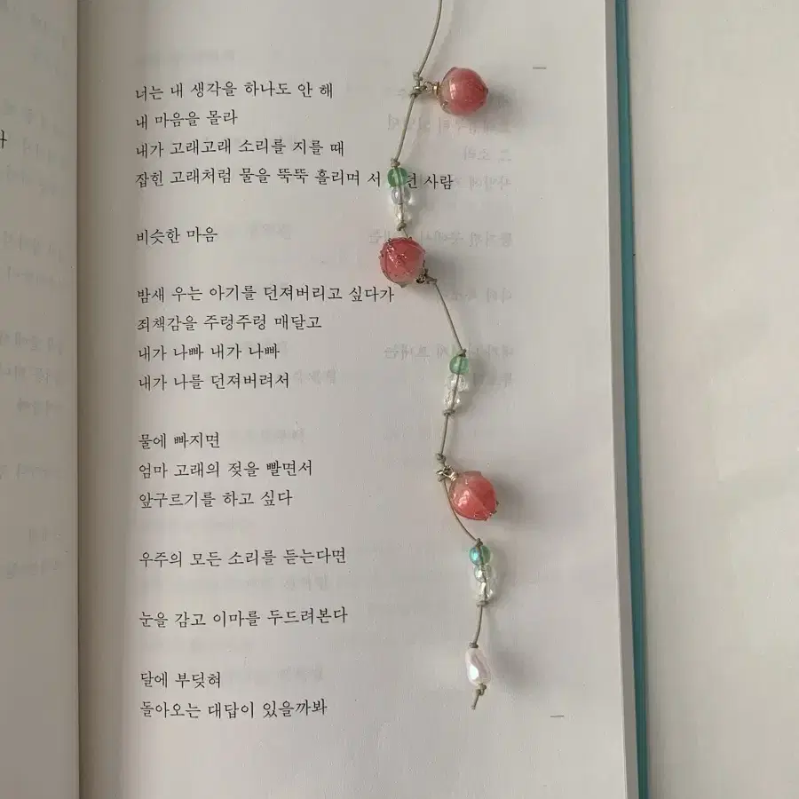 산딸기 끈갈피