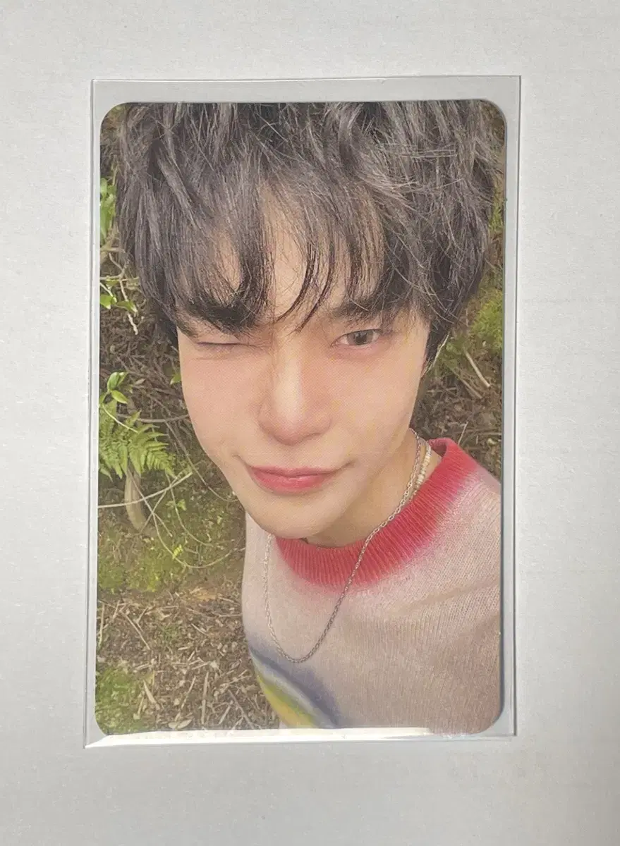 youthofpomal doyoung photocard wts